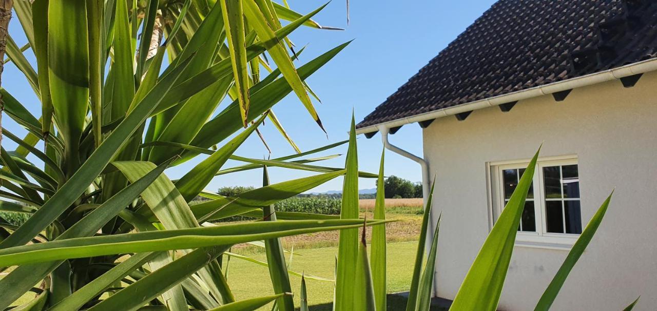 Top Haus 160M2 Europapark,Strasburg,Schwarzwald Appenweier Ngoại thất bức ảnh